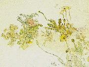 Carl Larsson blommor- nyponros och backsippor painting